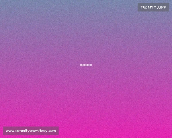 女排联赛实时比分