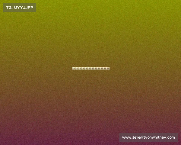 志愿服务大赛激情启航汇聚爱心力量共建和谐社会新纪元